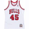 Mitchell & Ness NBA Authentic Jersey Chicago Bulls 1994-95 Michael Jordan