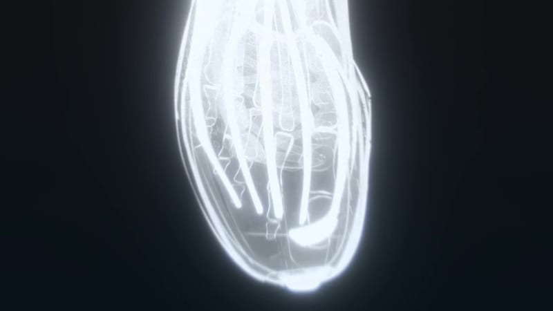 adidas Adizero Adios Pro 4