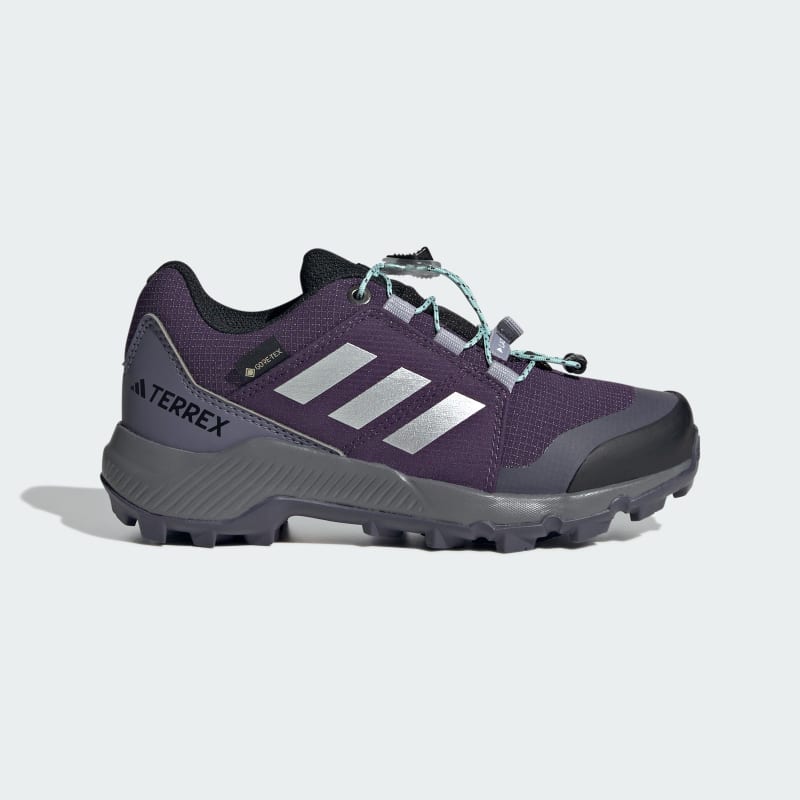adidas Terrex GORE-TEX Hiking